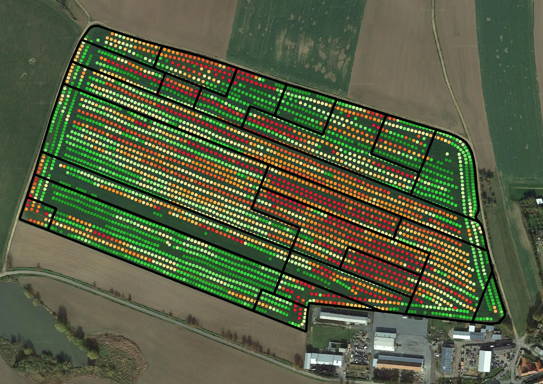 Yield measurements across a variable rate fertilisation trial